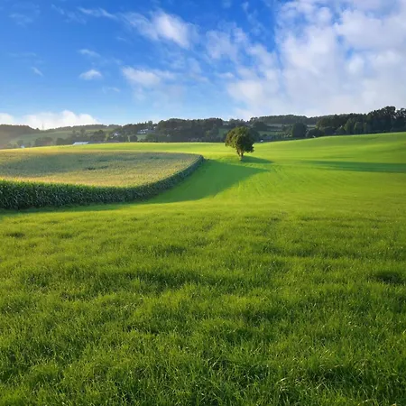Attractive Farmhouse In South Limburg With Terrace *