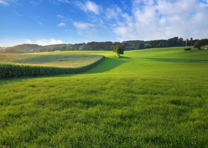 Attractive Farmhouse In South Limburg With Terrace *