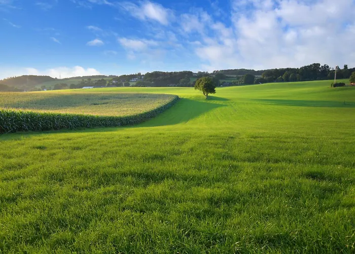 Дом отдыха Attractive Farmhouse In South Limburg With Terrace